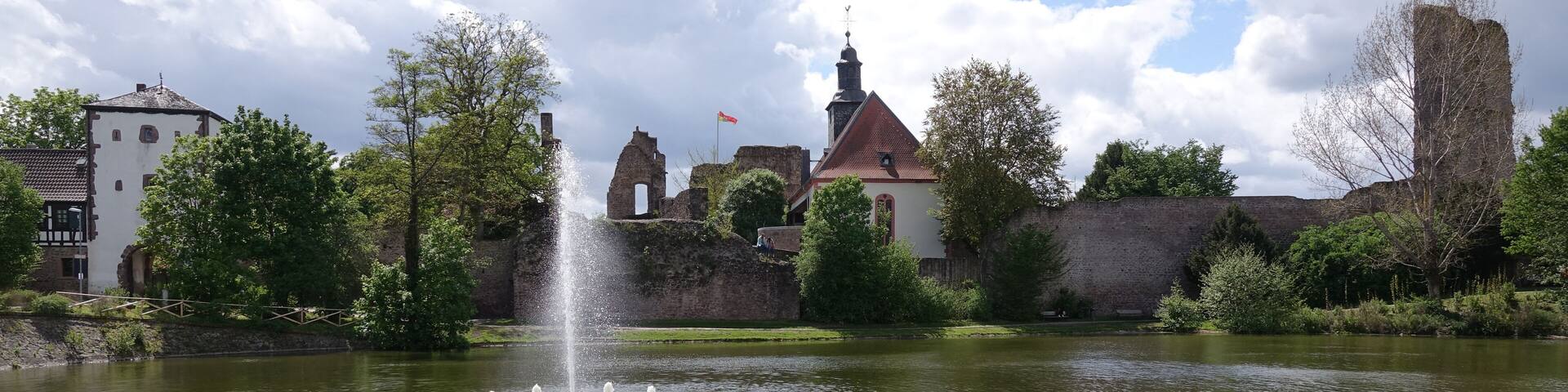 Burgweiher in Dreieichenhain