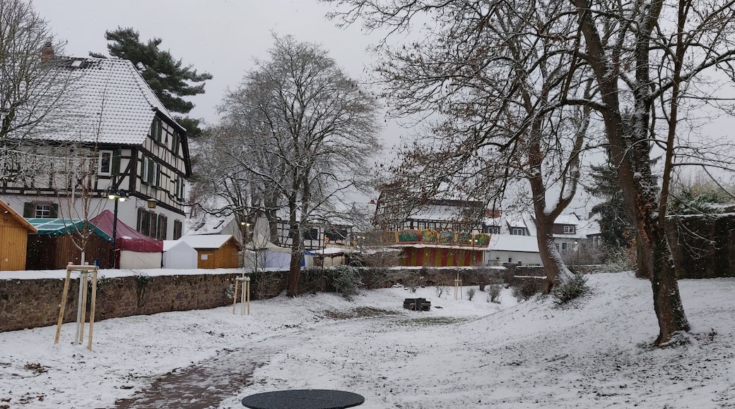 Nice Christmas Market.