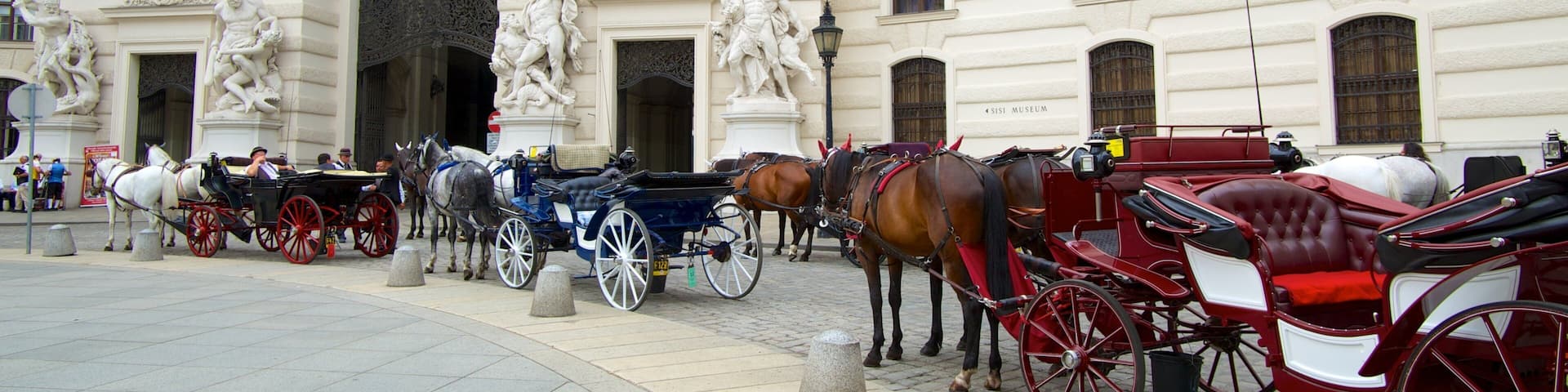 Hofburg Imperial Palace showing chateau or palace, heritage architecture and a city