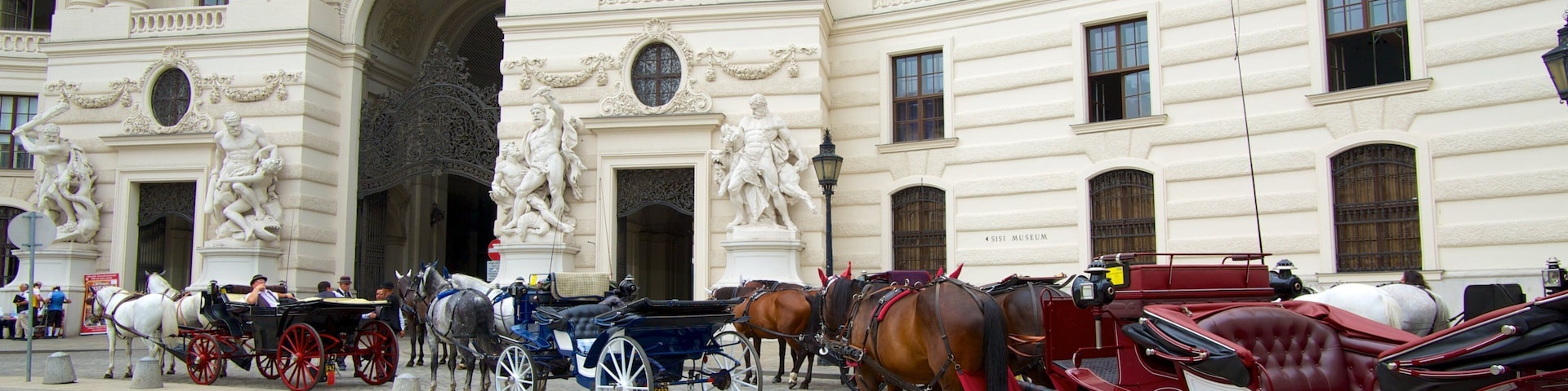 Hofburg Imperial Palace showing chateau or palace, heritage architecture and a city