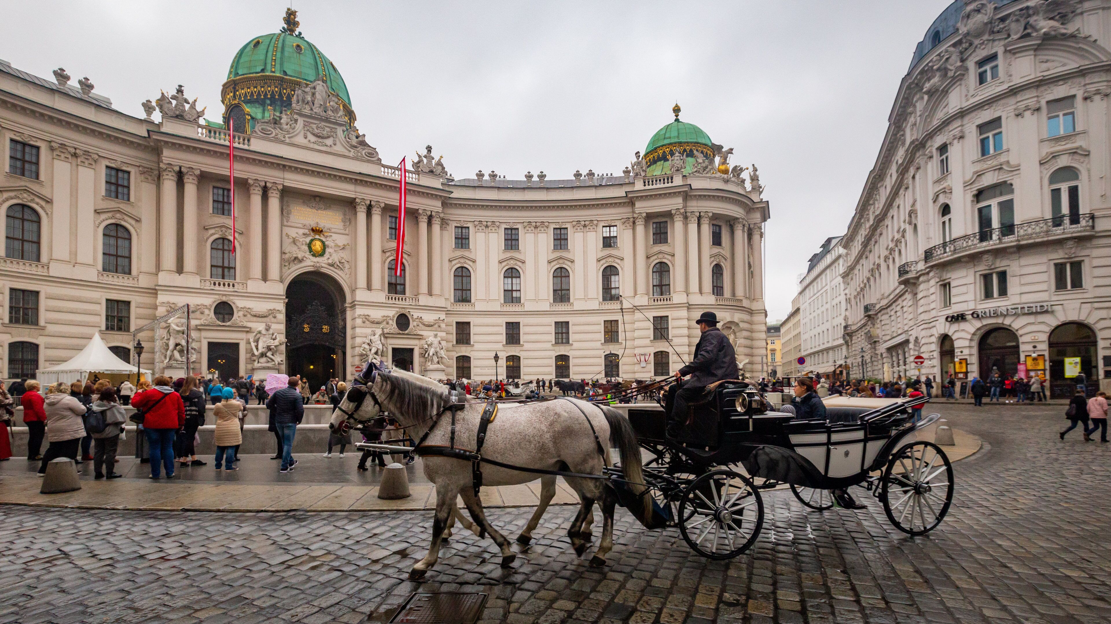 Hofburg Imperial Palace which includes heritage elements, heritage architecture and land animals