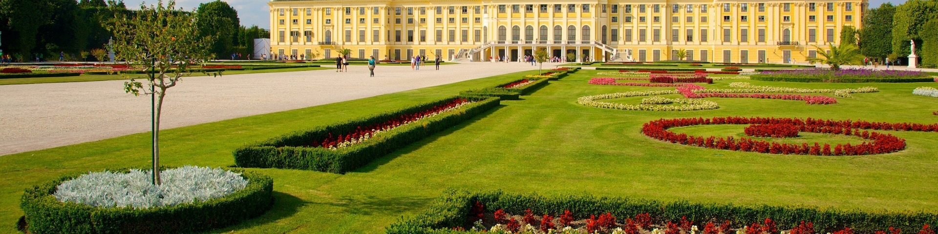 Palácio de Schoenbrunn que inclui uma cidade, arquitetura de patrimônio e flores