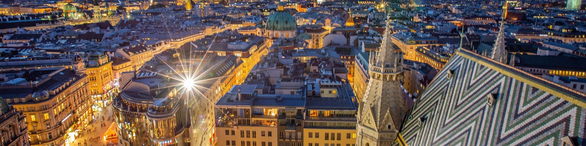 St. Stephen\'s Cathedral featuring landscape views, night scenes and a city