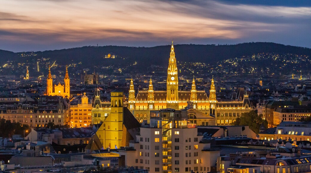 St. Stephen\'s Cathedral showing a sunset, heritage architecture and landscape views