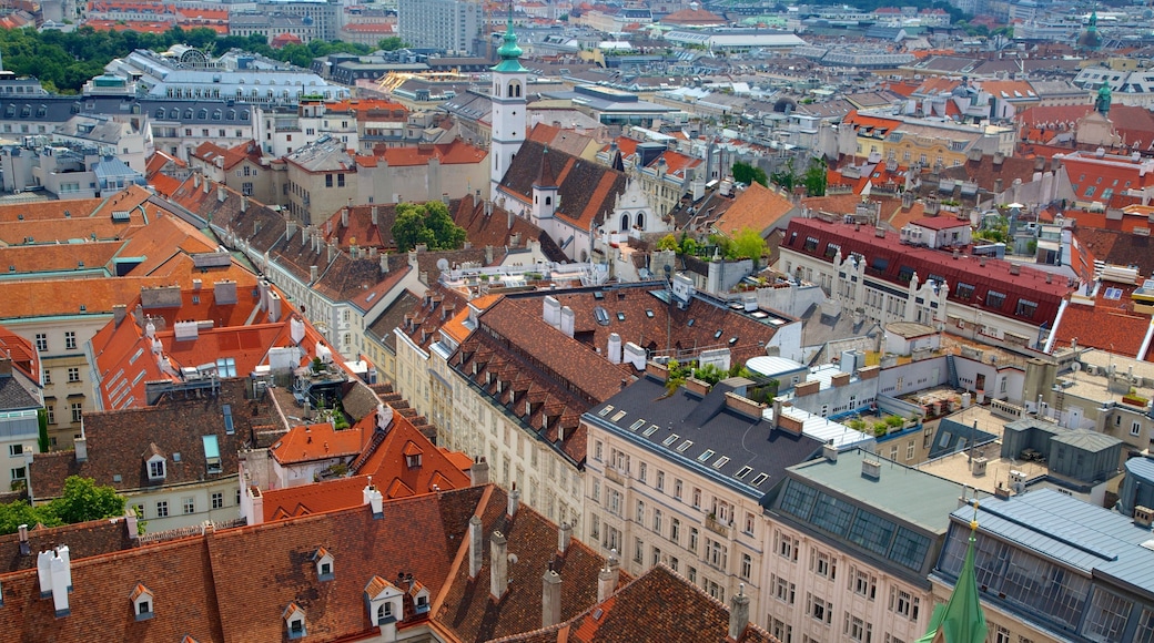 St. Stephen\'s Cathedral featuring a city, a church or cathedral and religious aspects