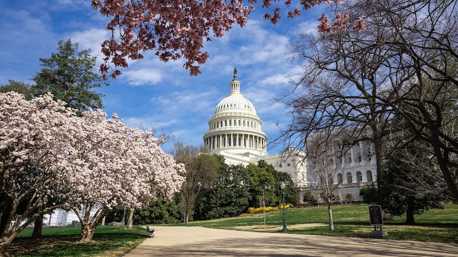 city capitol building in spring