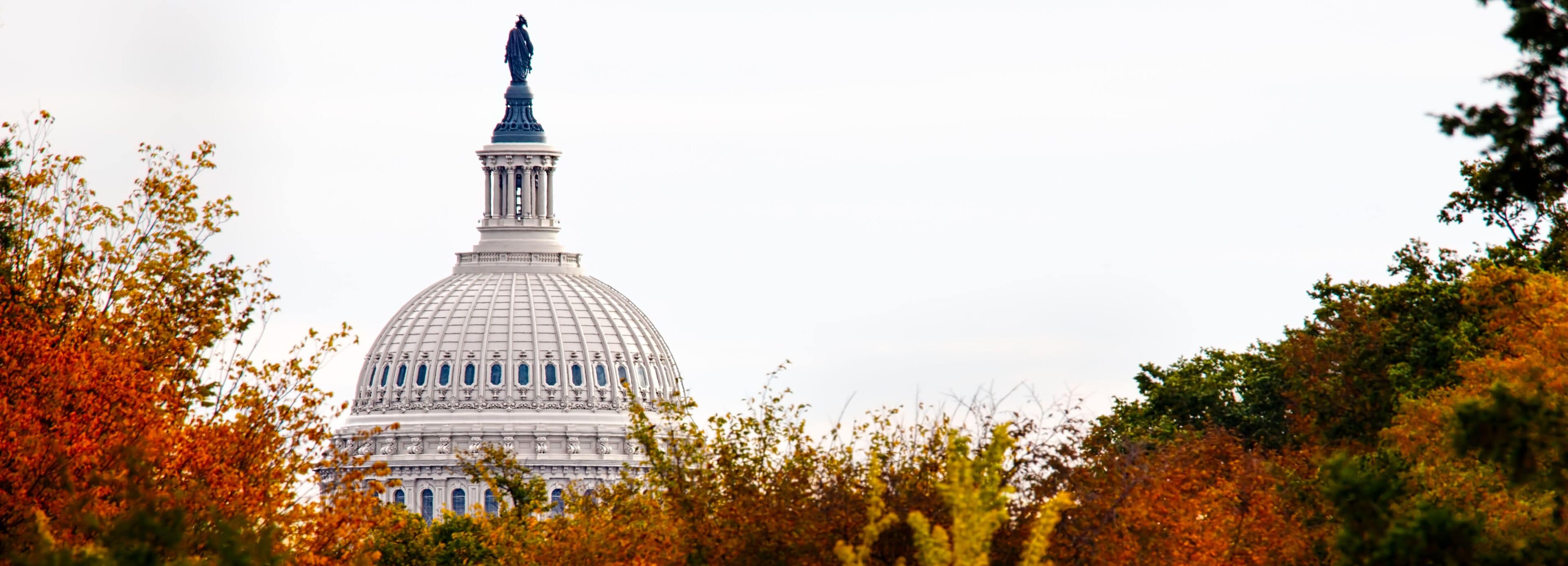 Capitol 2 (Banner)
