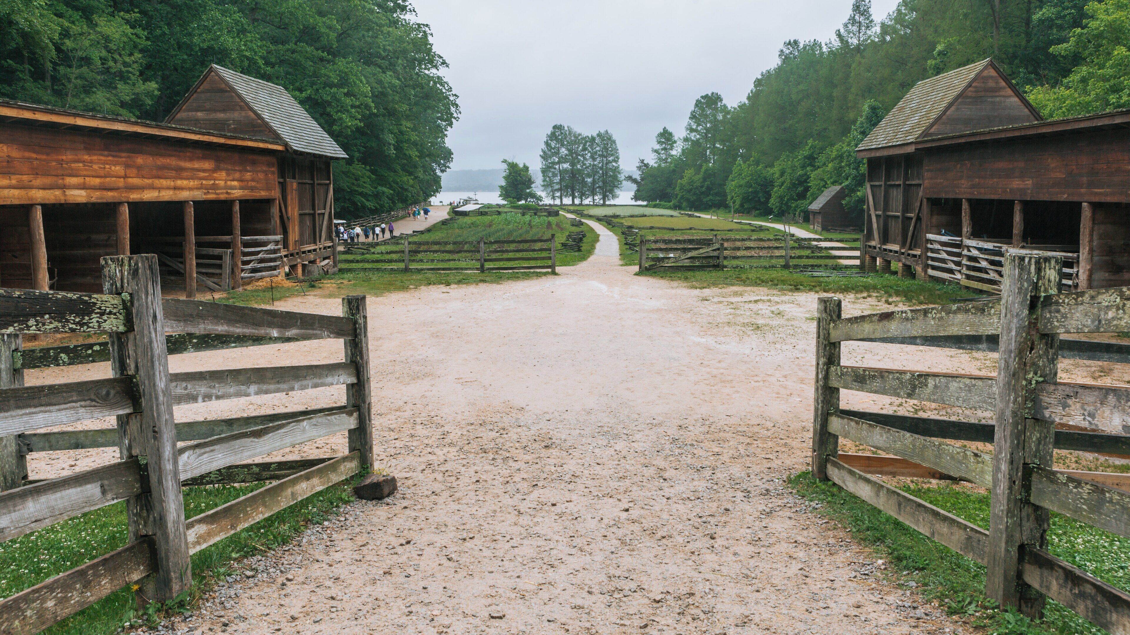 Explore the historical grounds of Mount Vernon, once the estate of George Washington in Alexandria, Virginia, showcasing natural beauty and colonial architecture