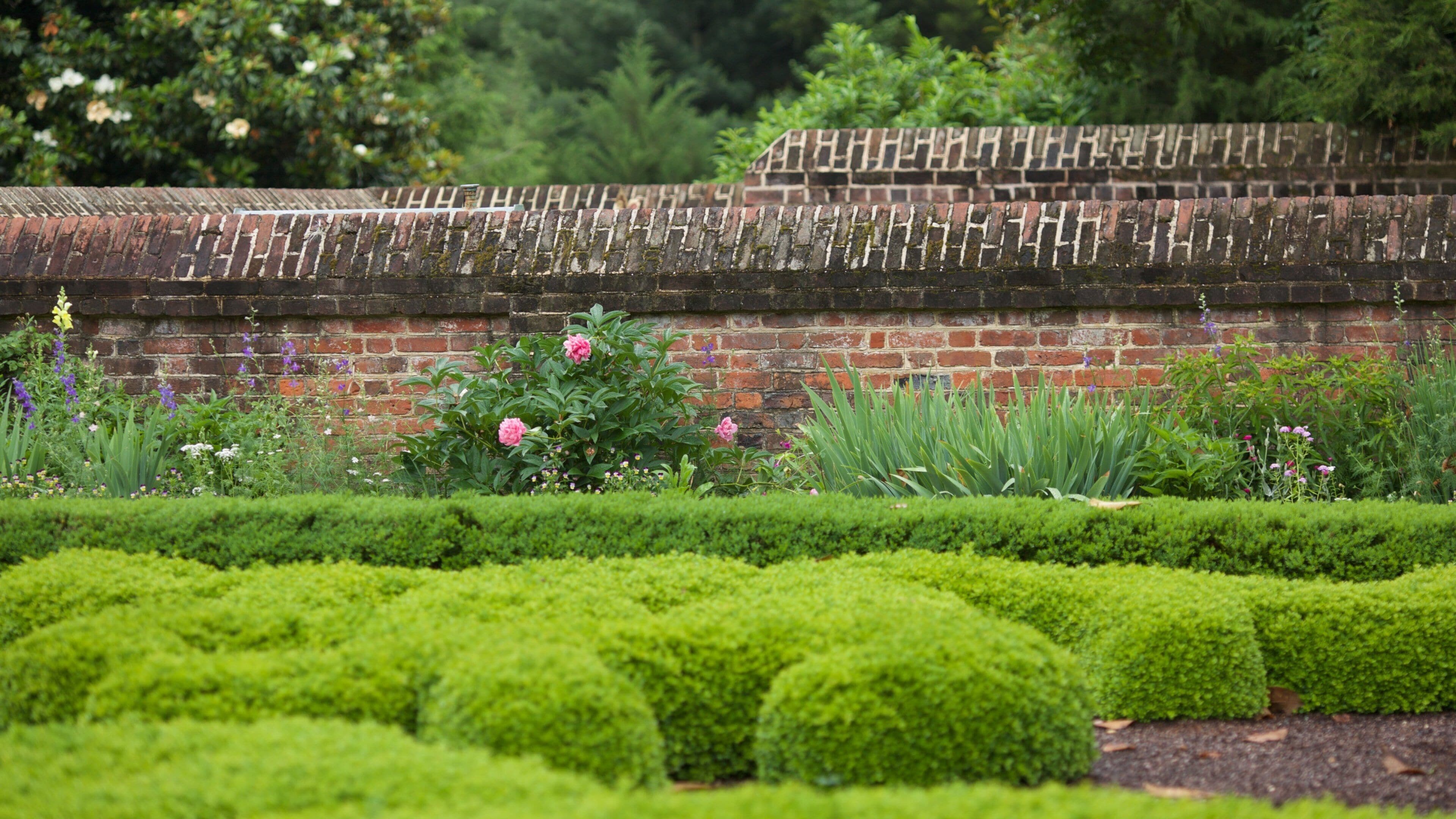 George Washington\'s Mount Vernon que incluye un parque