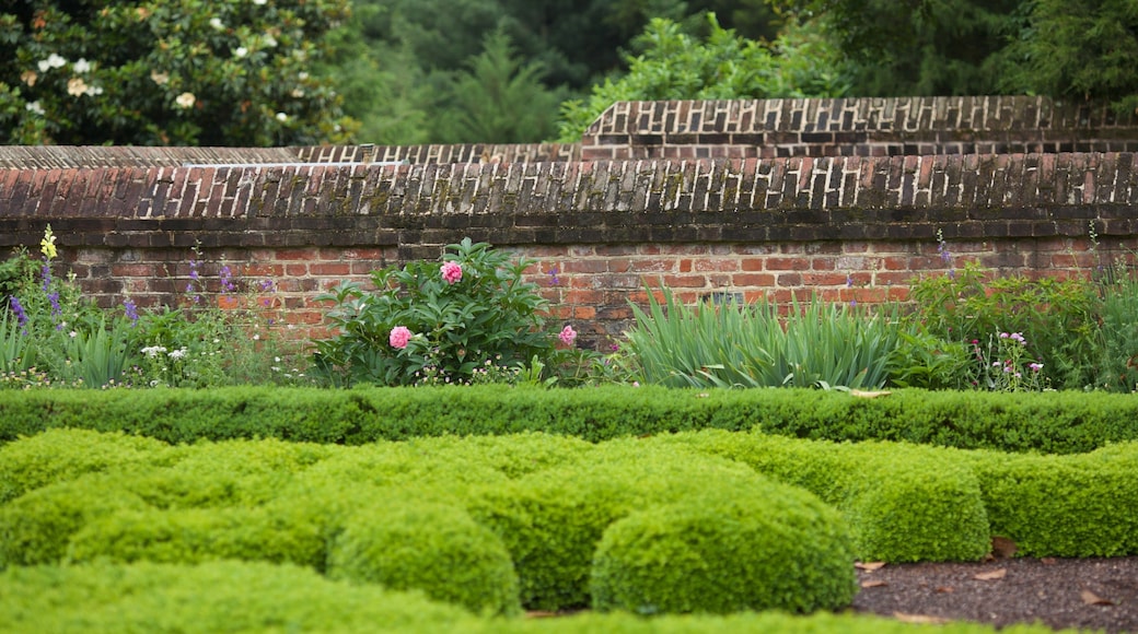 George Washington\'s Mount Vernon que incluye un parque