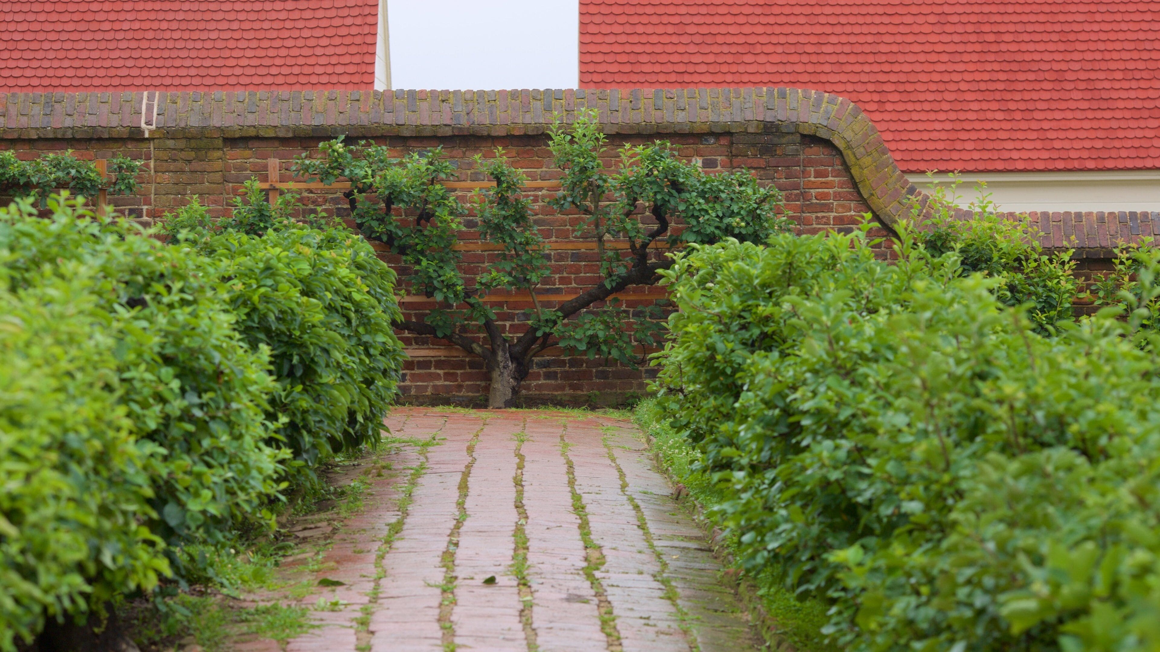 Mount Vernon, Mount Vernon, Virginia, Estados Unidos de América ofreciendo jardín
