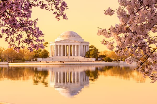 Beautiful early morning Jefferson Memorial