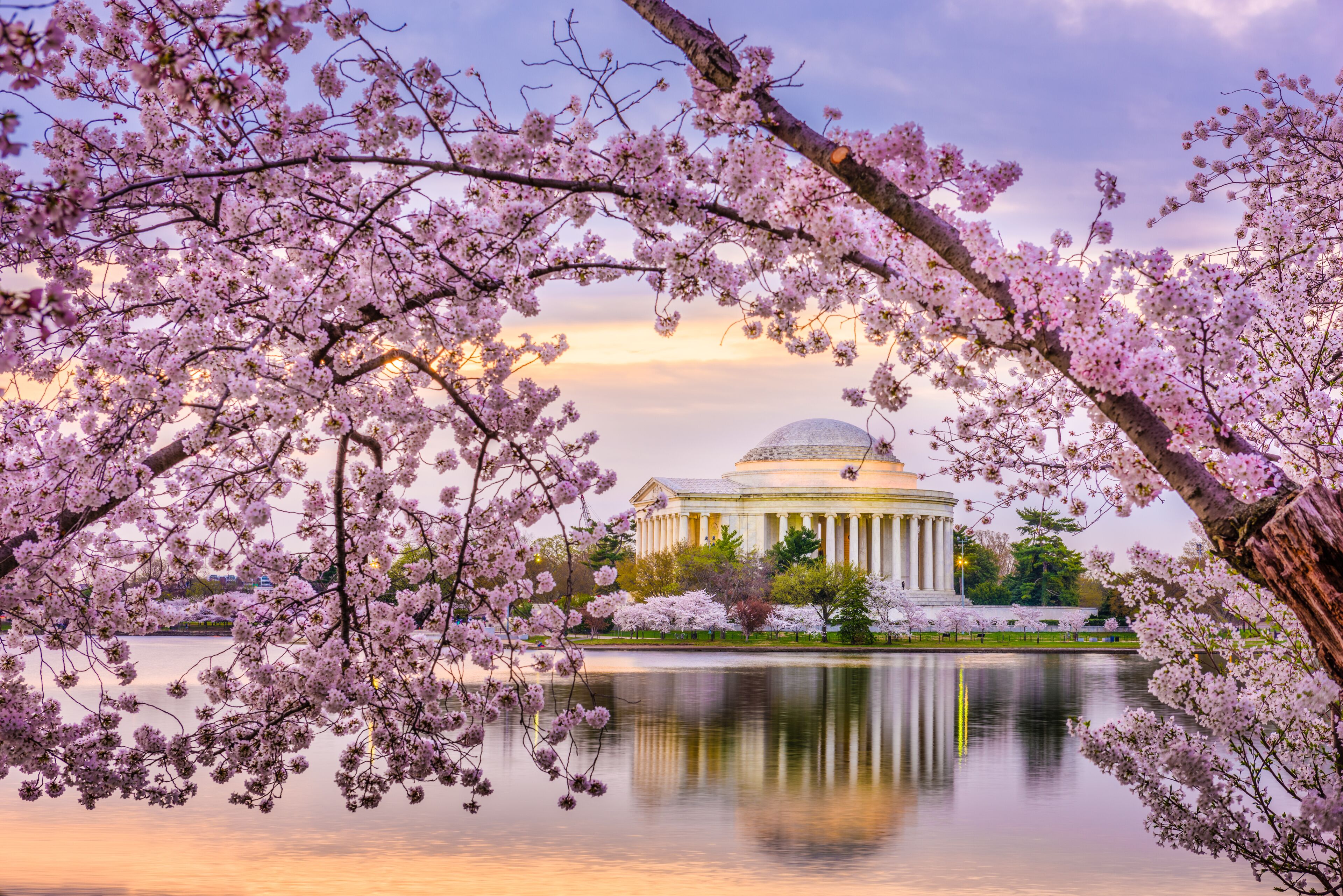 Washington DC, USA at the Jefferson Memorial