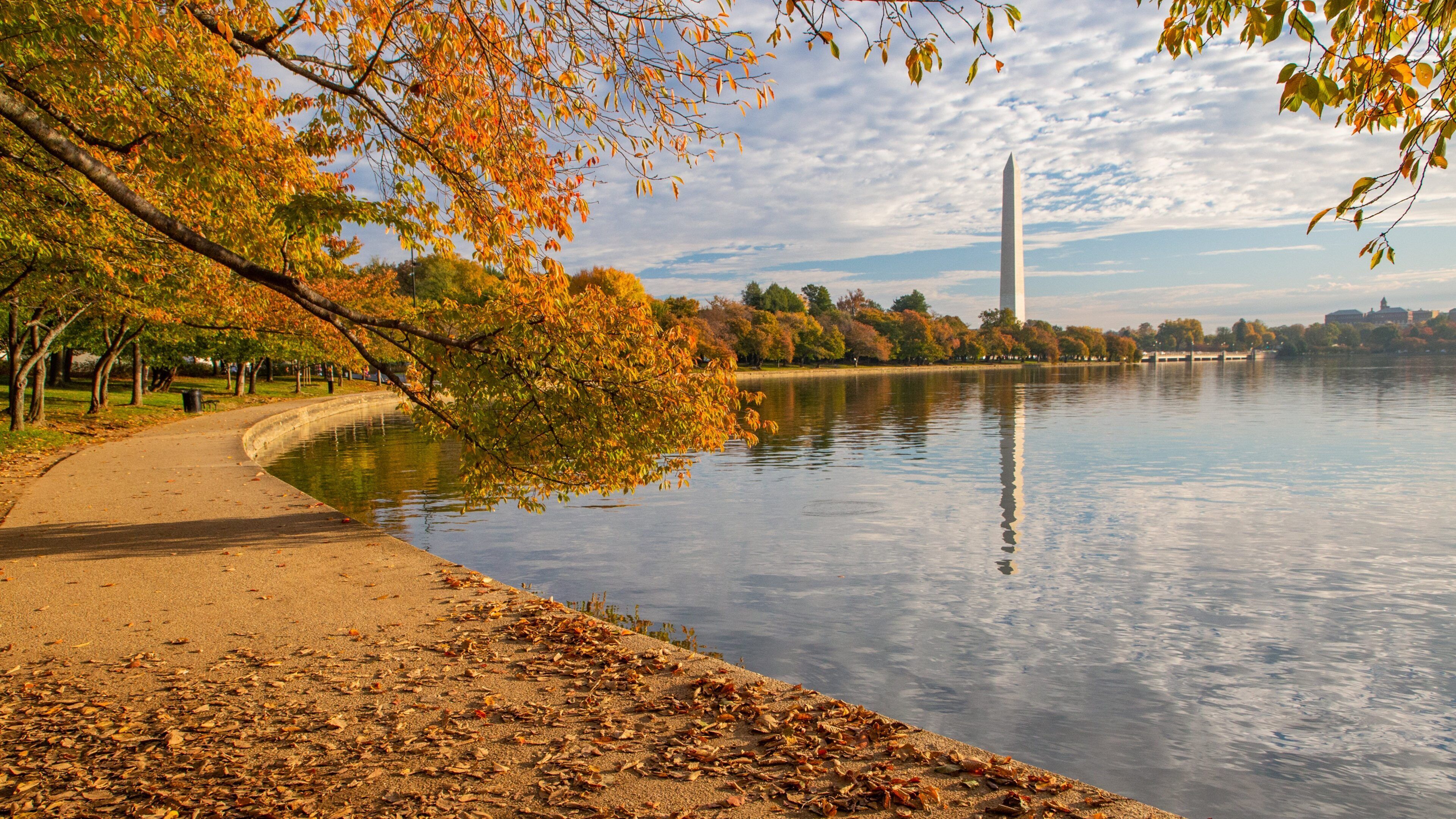 Washington Monument which includes a monument, autumn leaves and a sunset