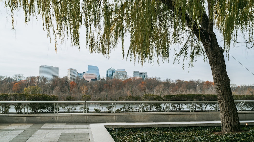 Kennedy Center featuring a park and a river or creek
