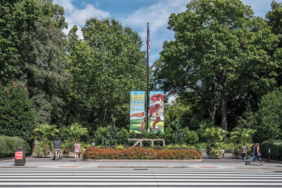 A crosswalk with a dinosaur-themed billboard, surrounded by lush greenery and a flagpole.