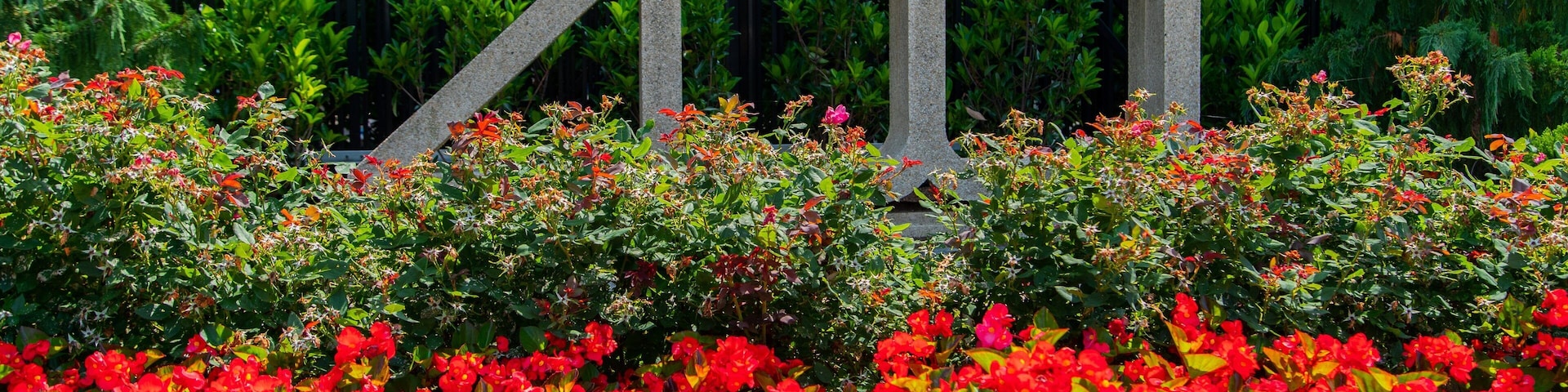 Smithsonian\'s National Zoo