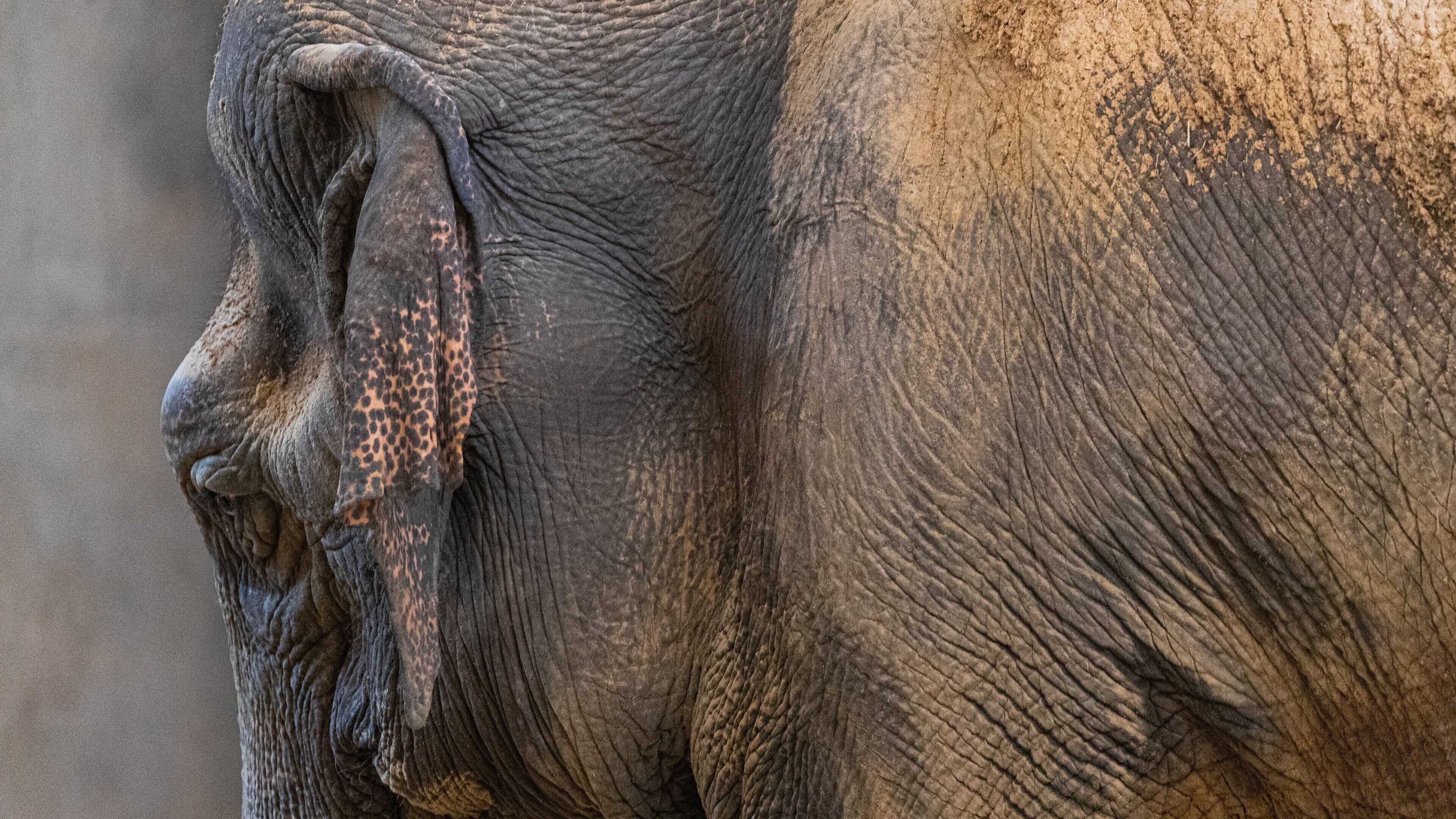 Smithsonian\'s National Zoo