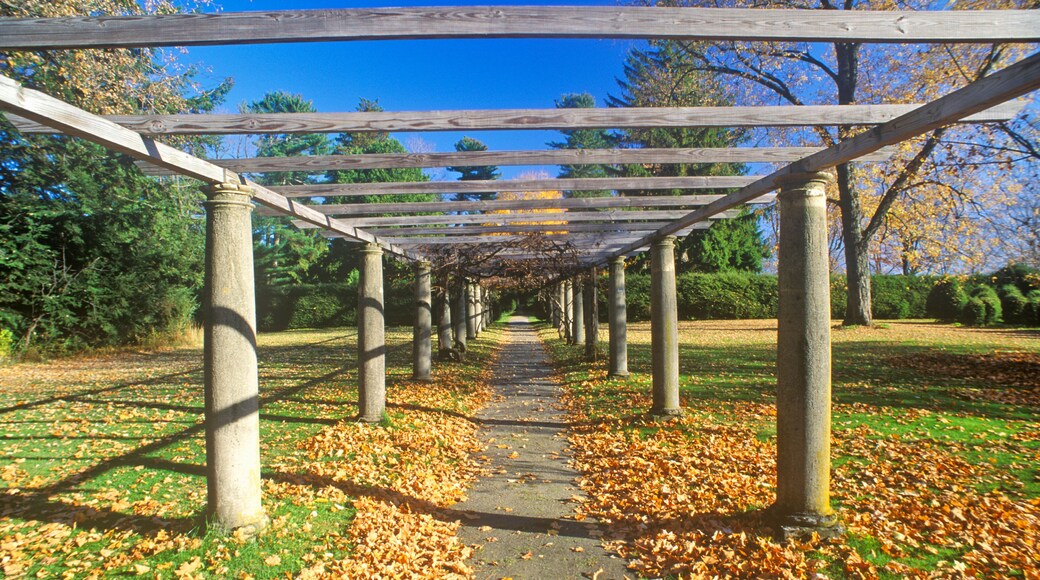 Tanglewood Music Center in Autumn, Lenox, Massachusetts