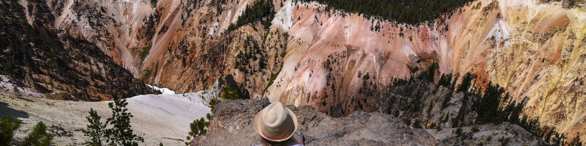 Overlooking the South Rim of the Grand Canyon of the Yellowstone River