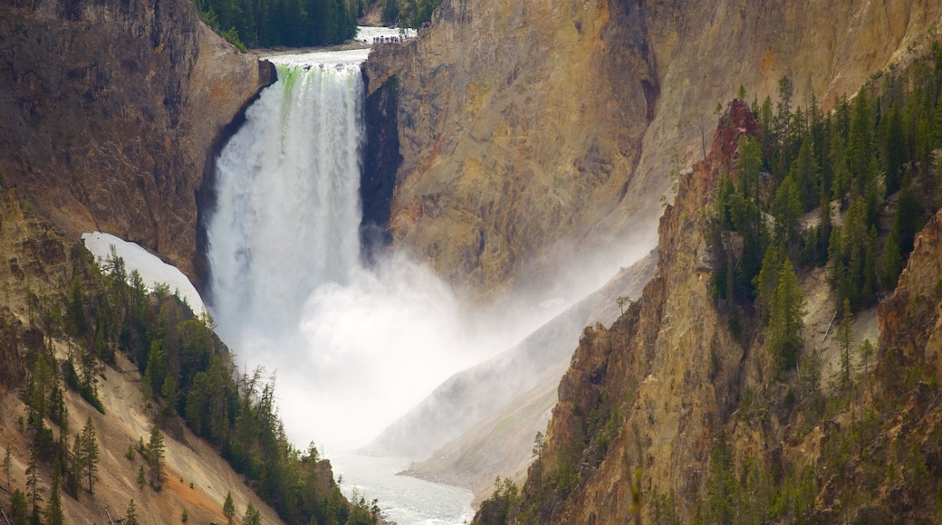 Grand Canyon i Yellowstone og byder på strømfald, en kløft eller slugt og en kaskade