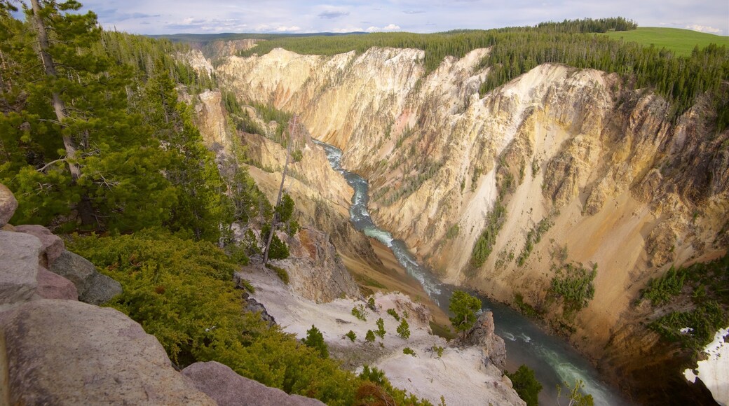 Grand Canyon of Yellowstone presenterar en ravin eller kanjon, en å eller flod och stillsam natur