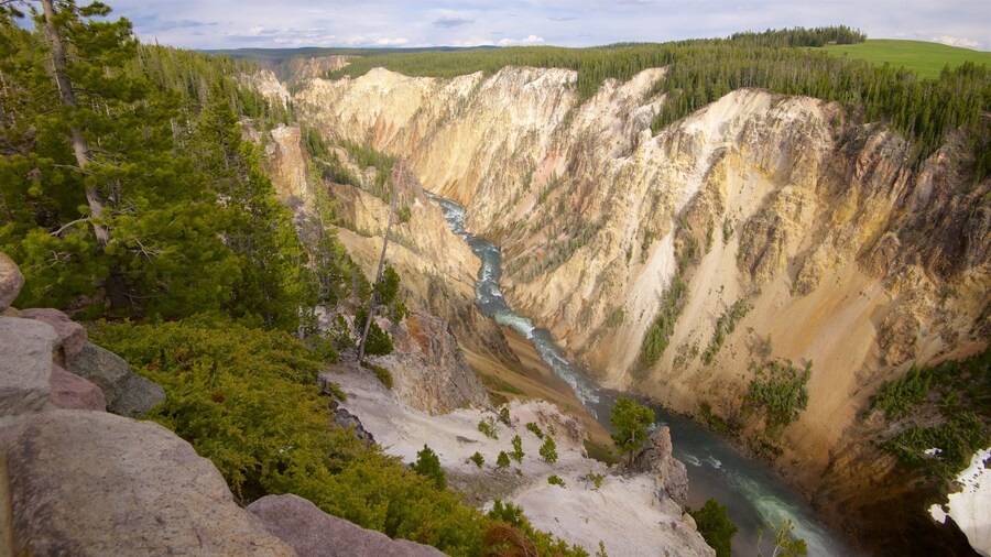 Grand Canyon of Yellowstone