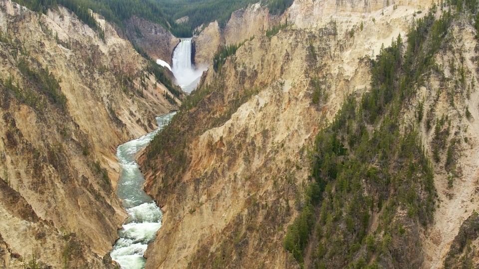Grand canyon de Yellowstone