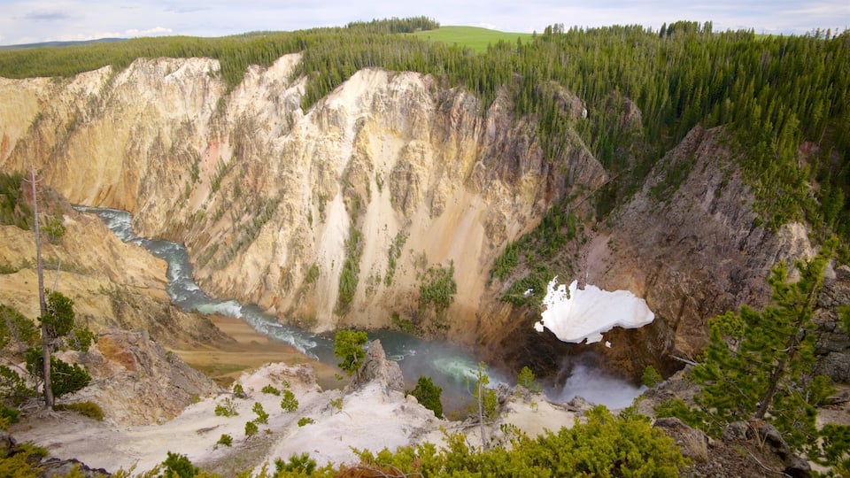 Grand canyon de Yellowstone
