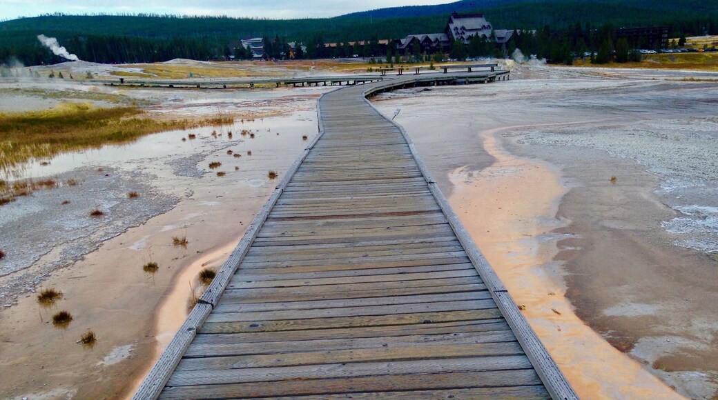 It’s spectacular to think about the process while building a walking bridge through Yellowstone hot springs, basins and geysers.