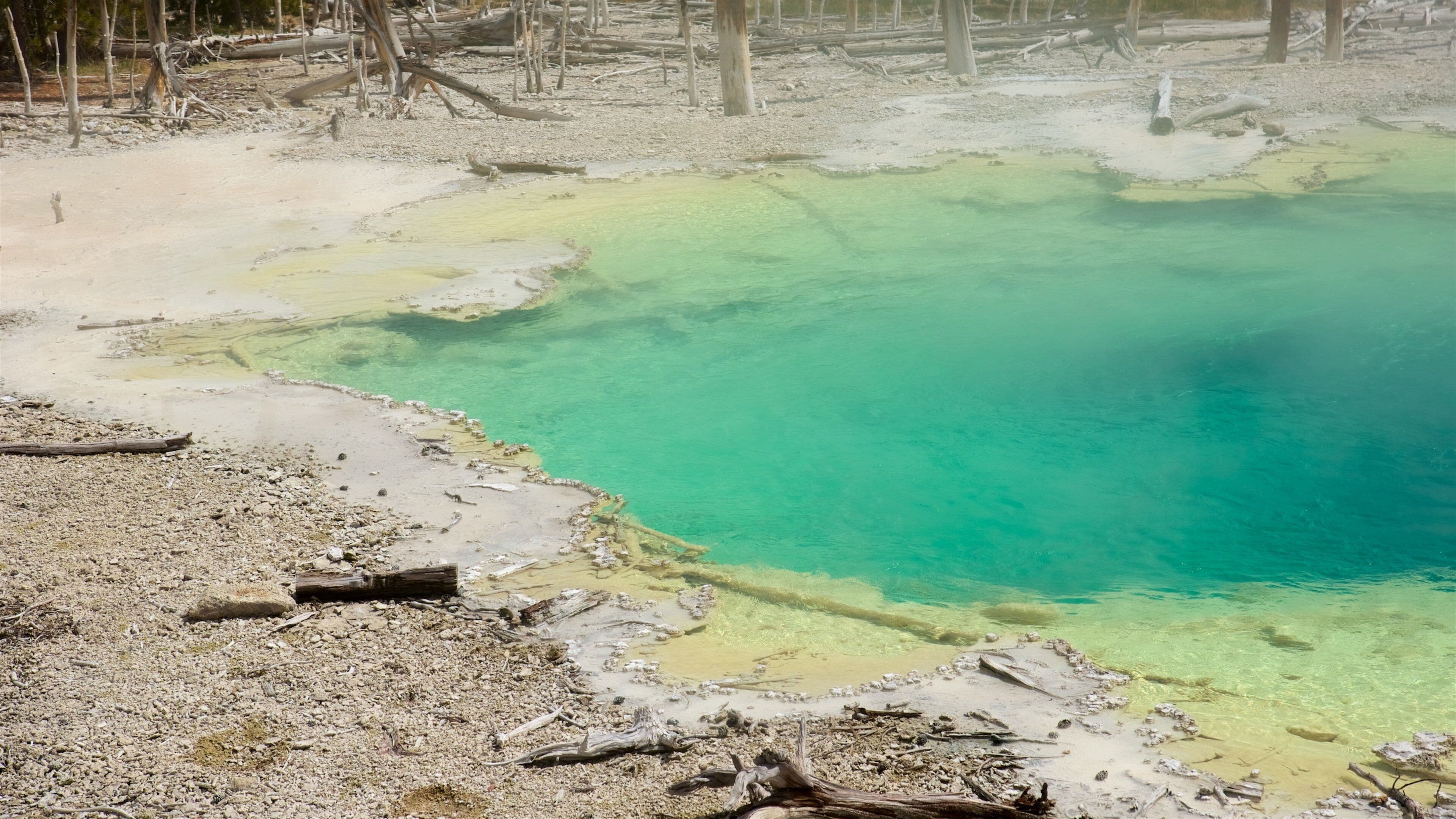 Norris Geyser Basin toont een warmwaterbron