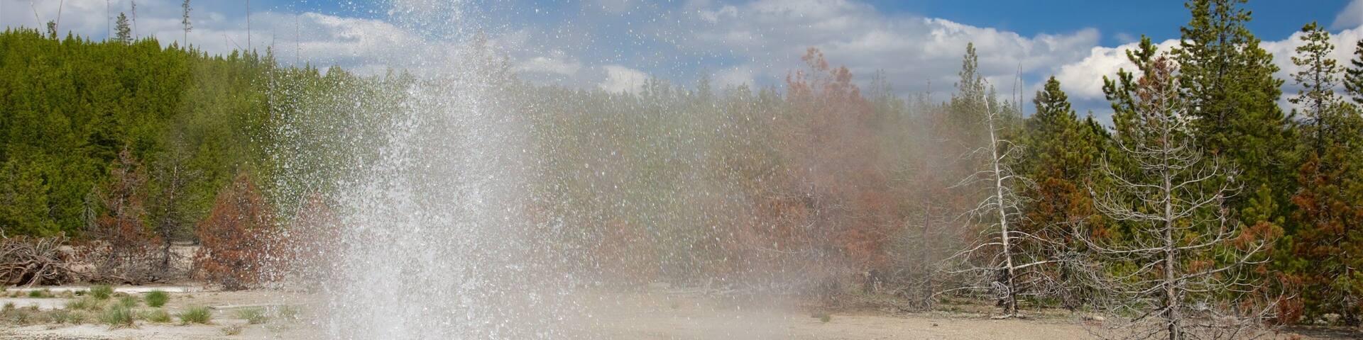 Norris Geyser Basin featuring a hot spring