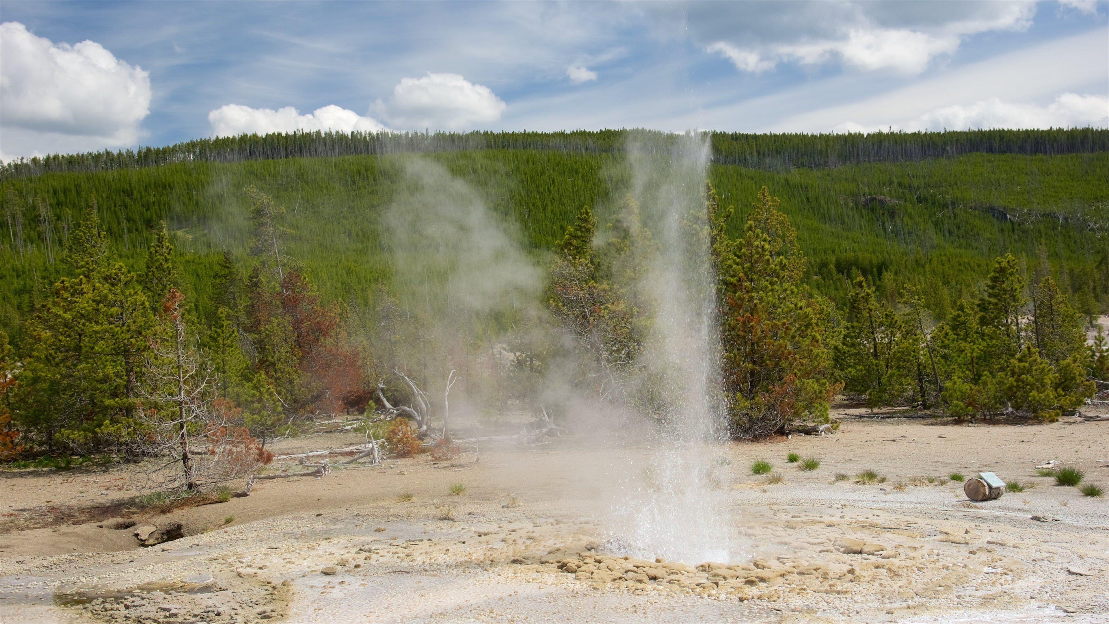 Norris Geyser Basin bevat een warmwaterbron en mist of nevel
