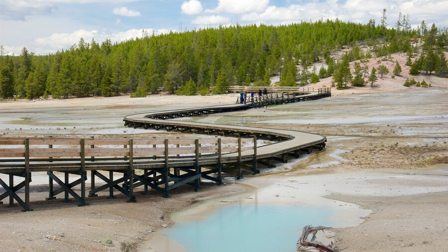 Norris Geyser Basin featuring a hot spring, a bridge and landscape views