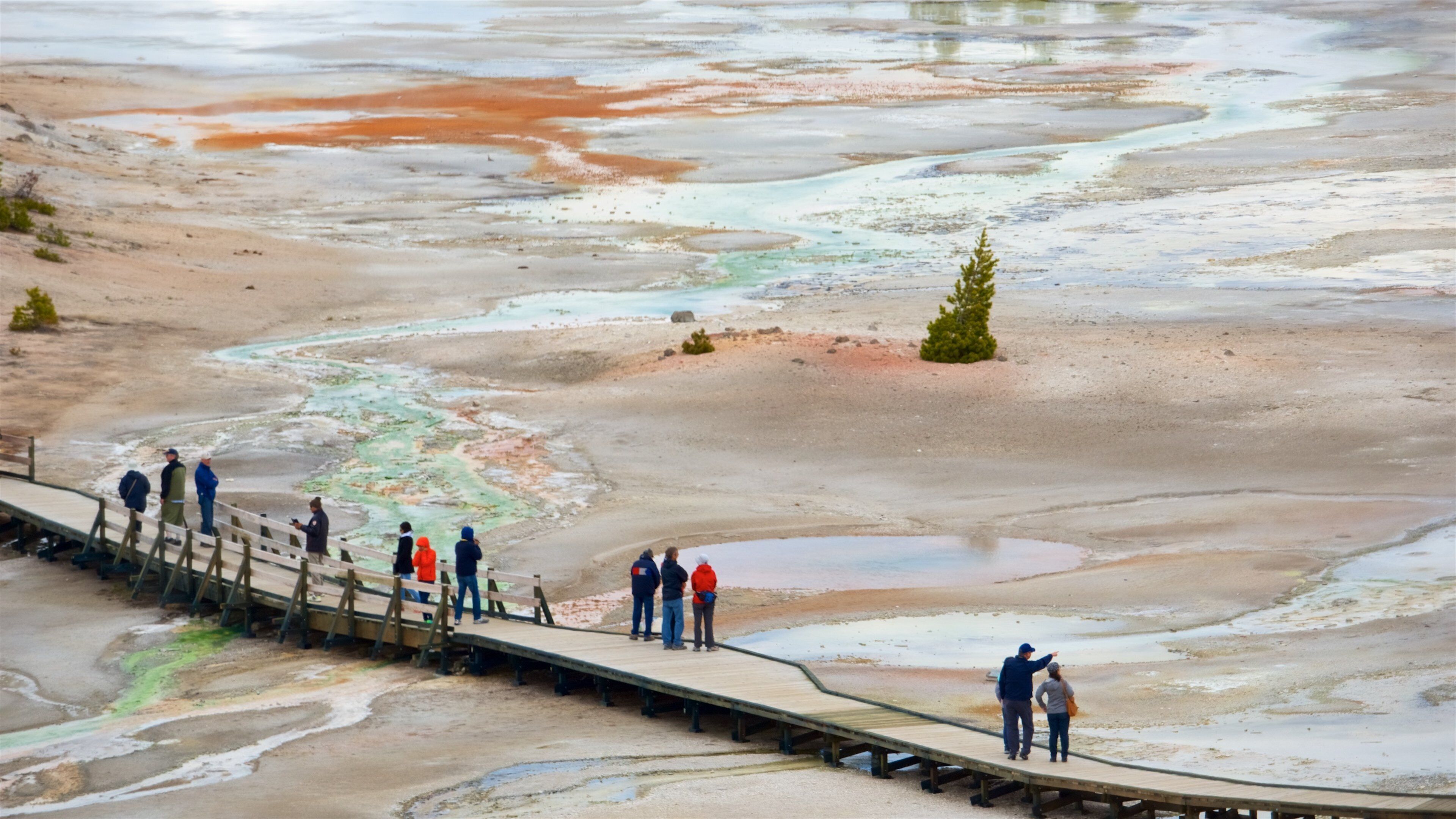 Norris Geyser Basin featuring a bridge and a hot spring as well as a small group of people