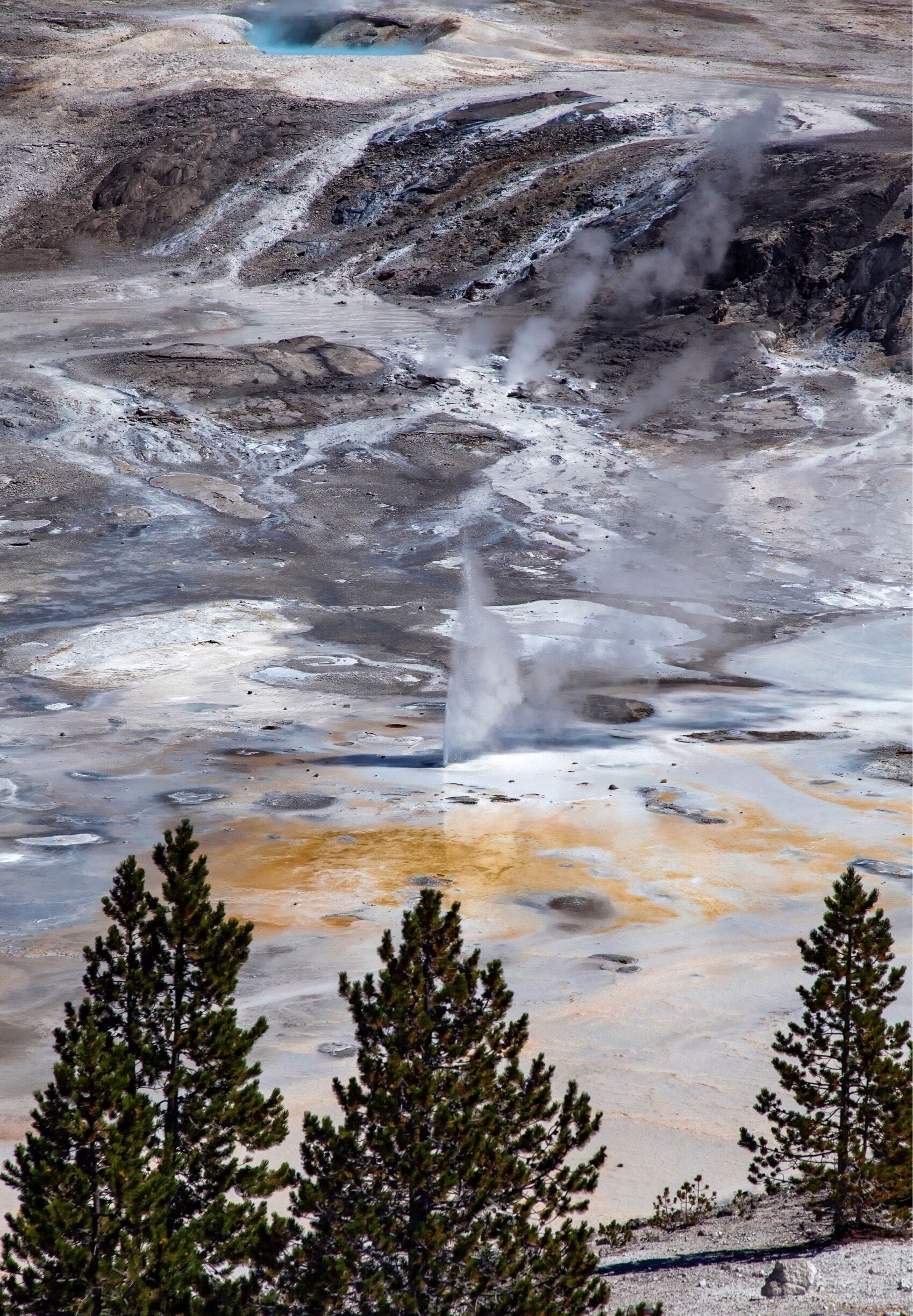 Walking over to Norris Porcelain Basin you get a wonderful view from above. Here you truly understand why it's called the porcelain basin. It almost doesn't look earthly, only the trees keep it terrestrial.