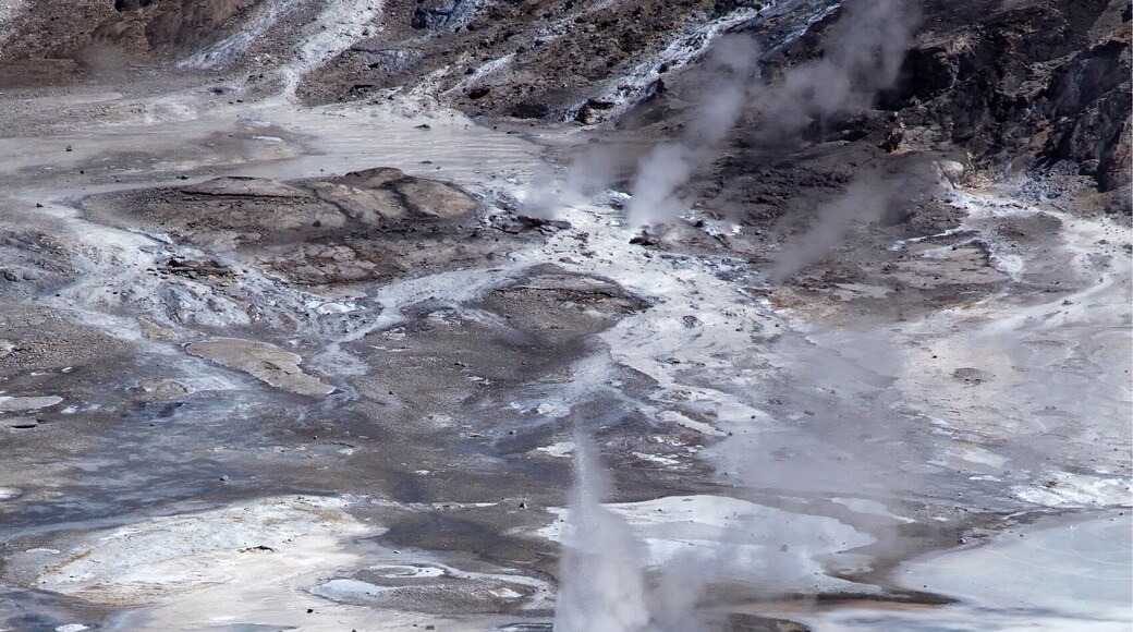 Walking over to Norris Porcelain Basin you get a wonderful view from above. Here you truly understand why it's called the porcelain basin. It almost doesn't look earthly, only the trees keep it terrestrial.