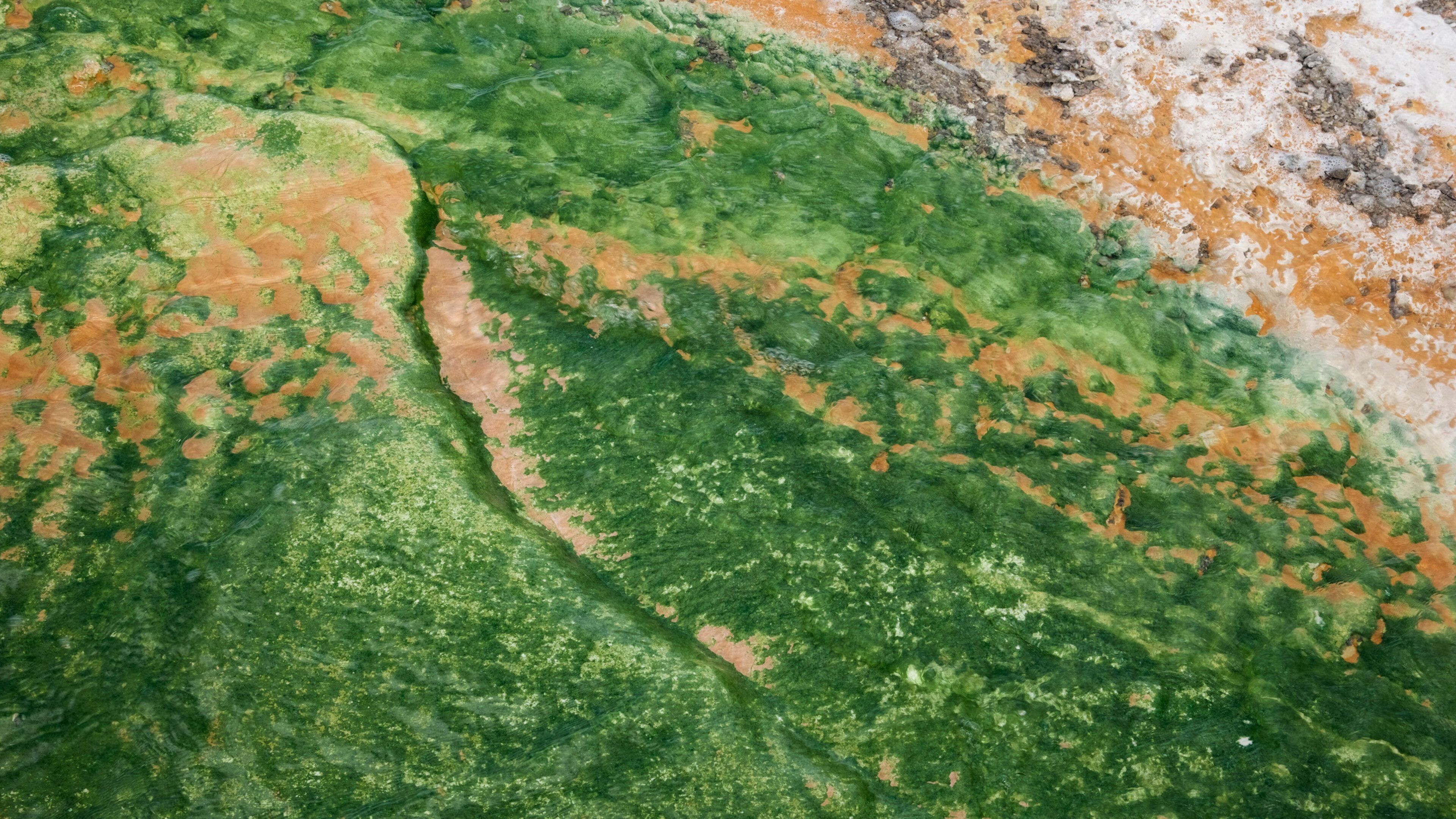 A river with green vegetation and orange-brown banks.