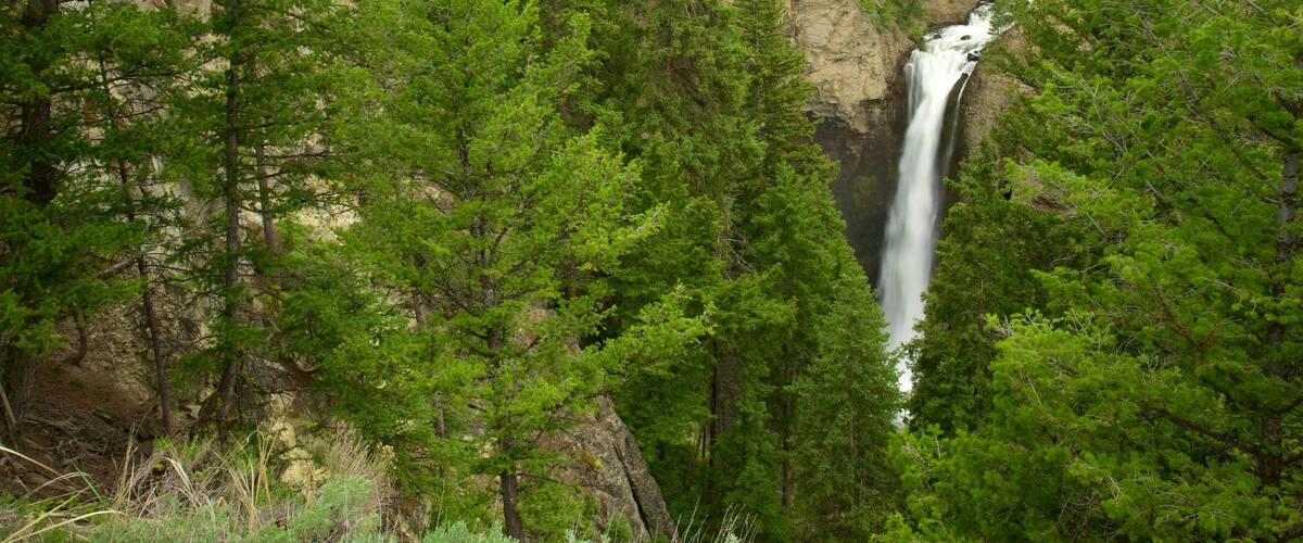 Tower Fall which includes a waterfall