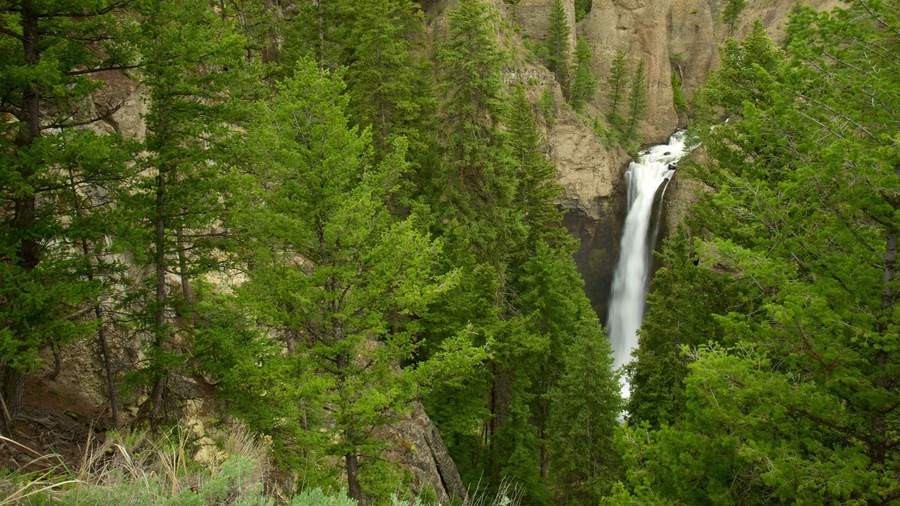 Tower Fall which includes a waterfall