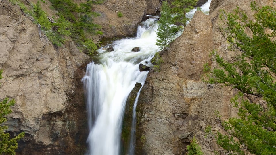 Tower Fall qui includes chute d\'eau et riviĂšre ou ruisseau