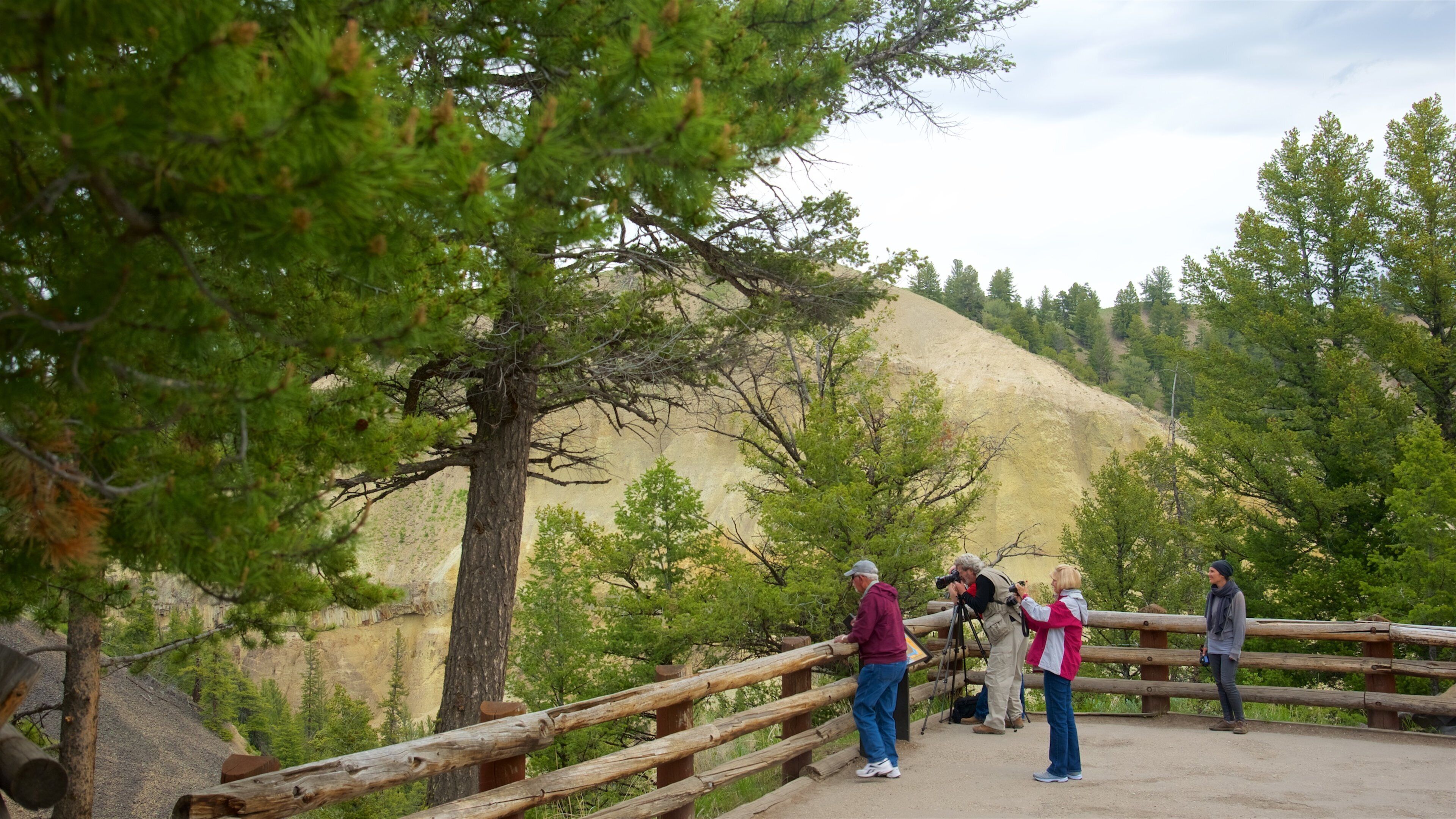 Tower Fall mettant en vedette vues et scènes tranquilles aussi bien que petit groupe de personnes
