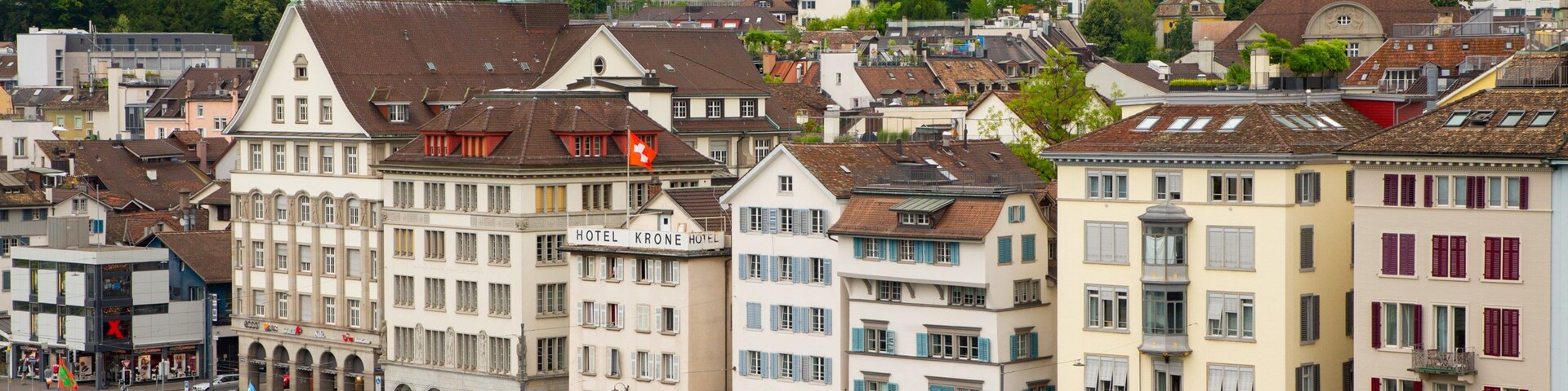 Lindenhof showing a city and a river or creek