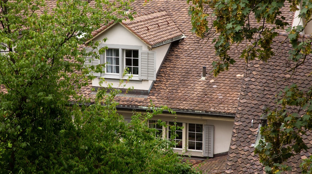 Lindenhof featuring a house