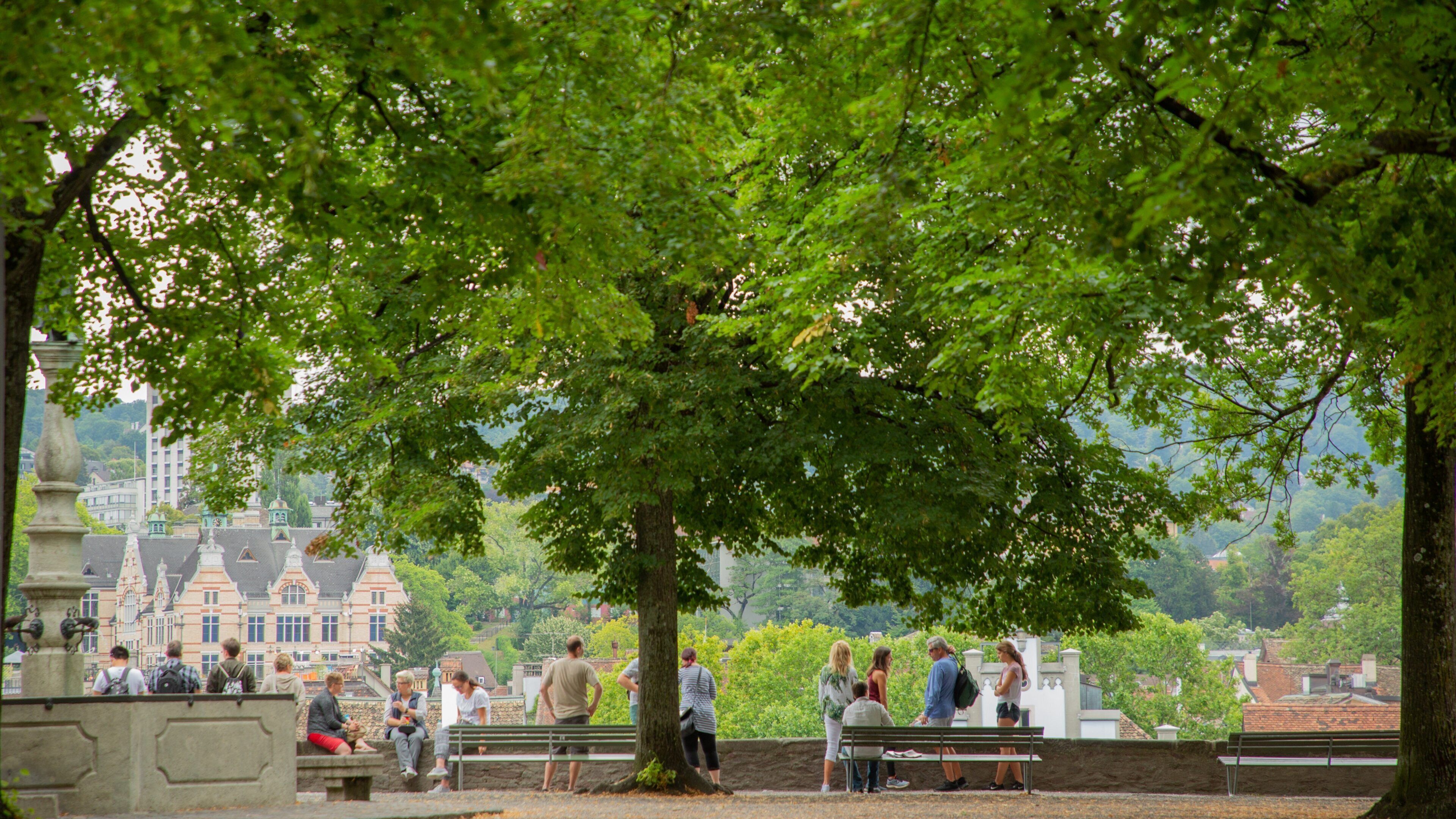 Lindenhof featuring a garden