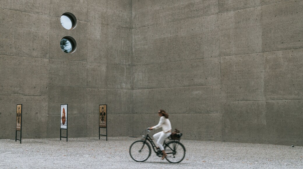 Swiss National Museum which includes cycling and street scenes as well as an individual femail