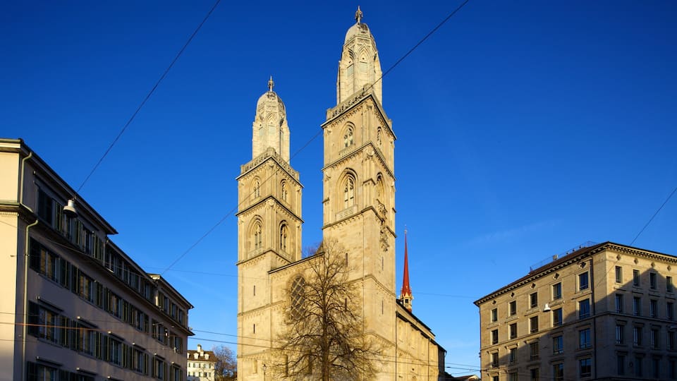 A historic church with two tall towers and a tree in front.