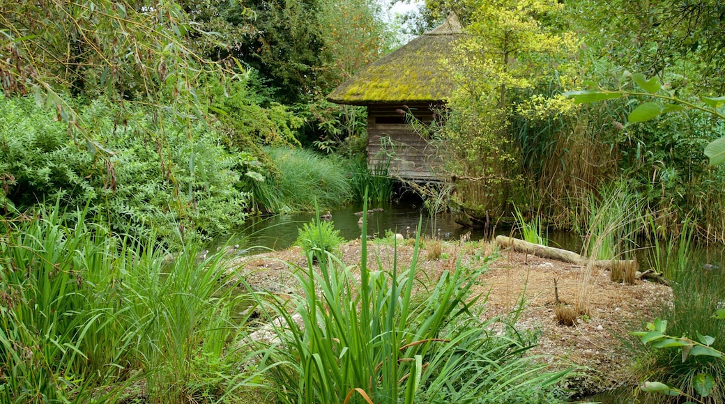 Zoo Zurich showing a pond