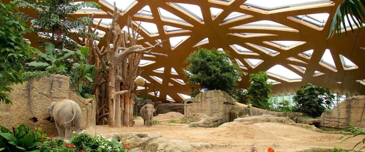Zoo de Zurich