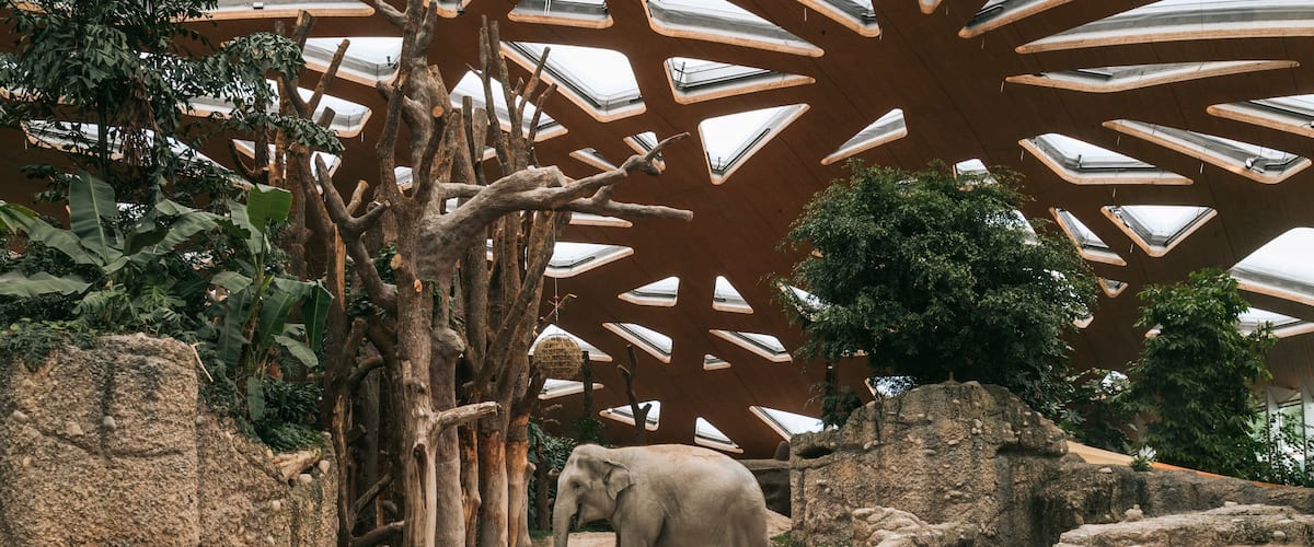 Zoo Zurich showing zoo animals and land animals